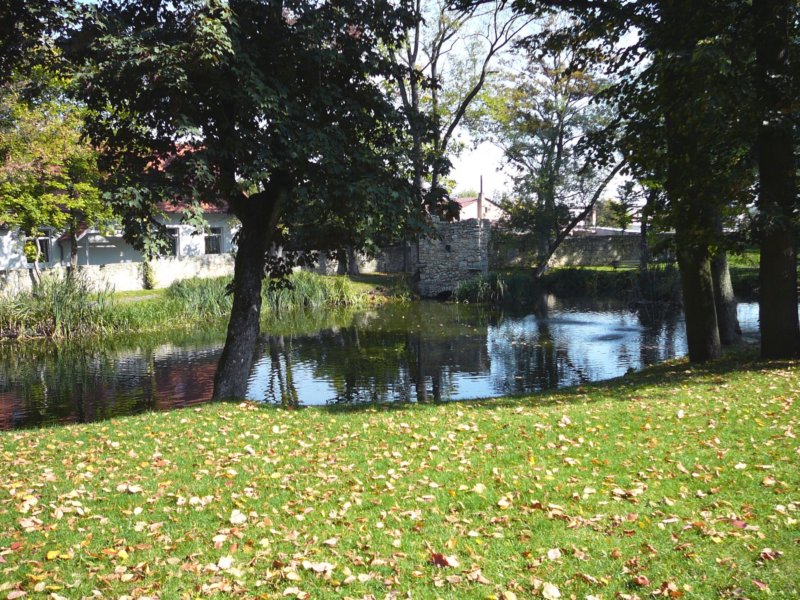 photo25.jpg