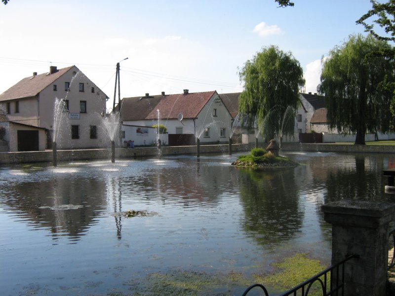 photo69.jpg