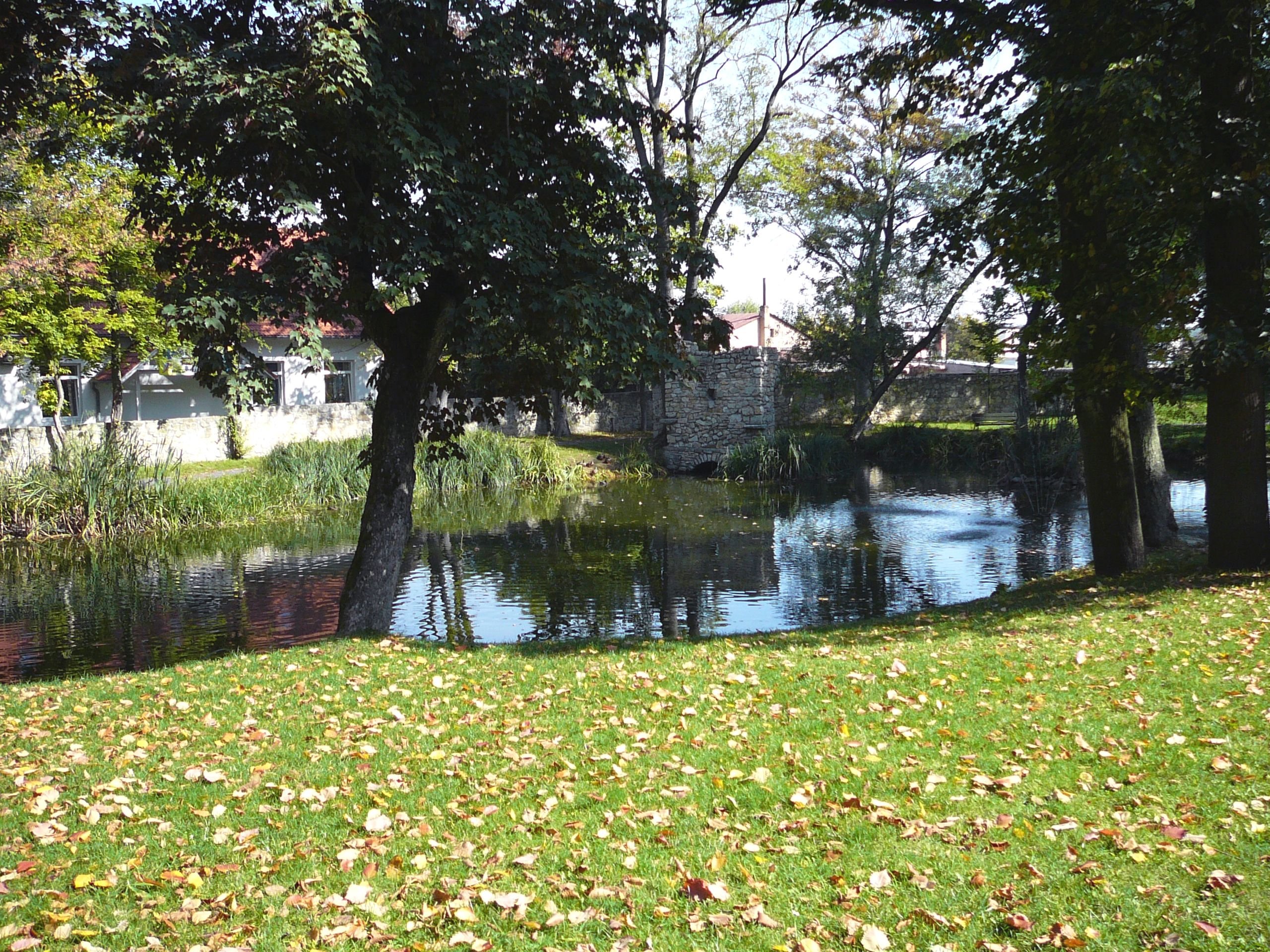 photo25.jpg