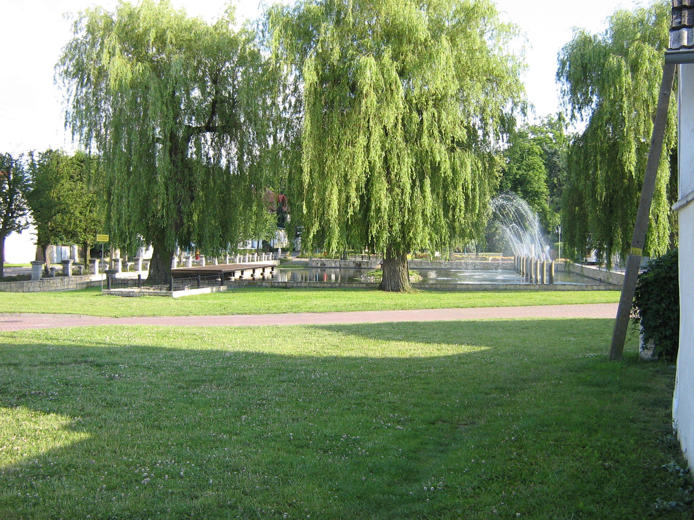 photo77.jpg