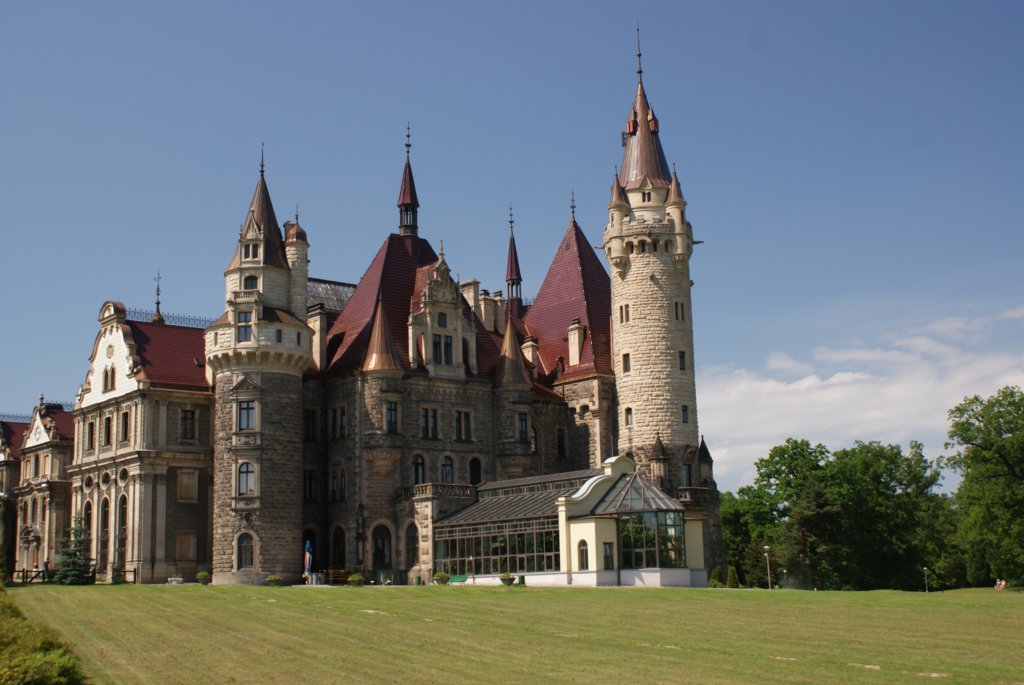 Photograph