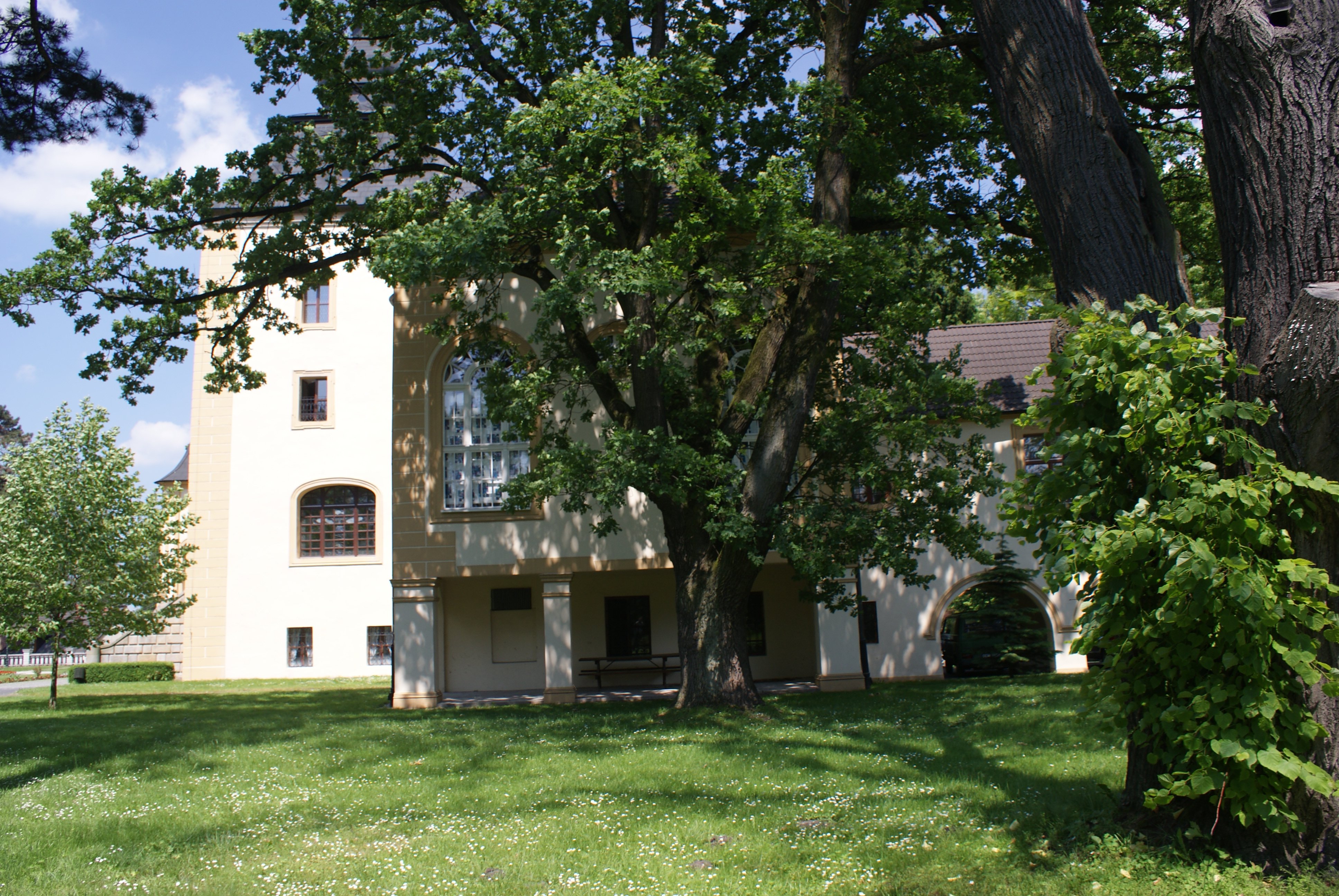 Photograph