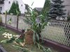 CAM_0844