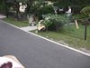 CAM_0830