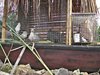 CAM_0802