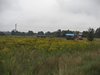 CAM_0833