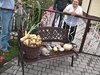 CAM_0823