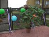 CAM_0810