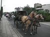 CAM_0847