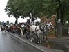 CAM_0787