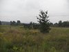 CAM_0832